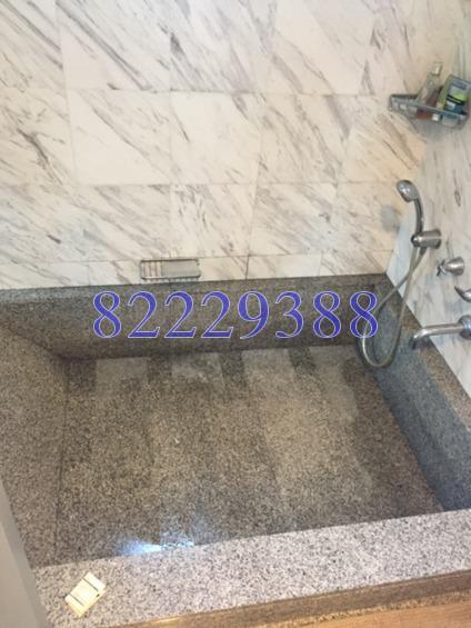 Water Place (D15), Condominium #173678982